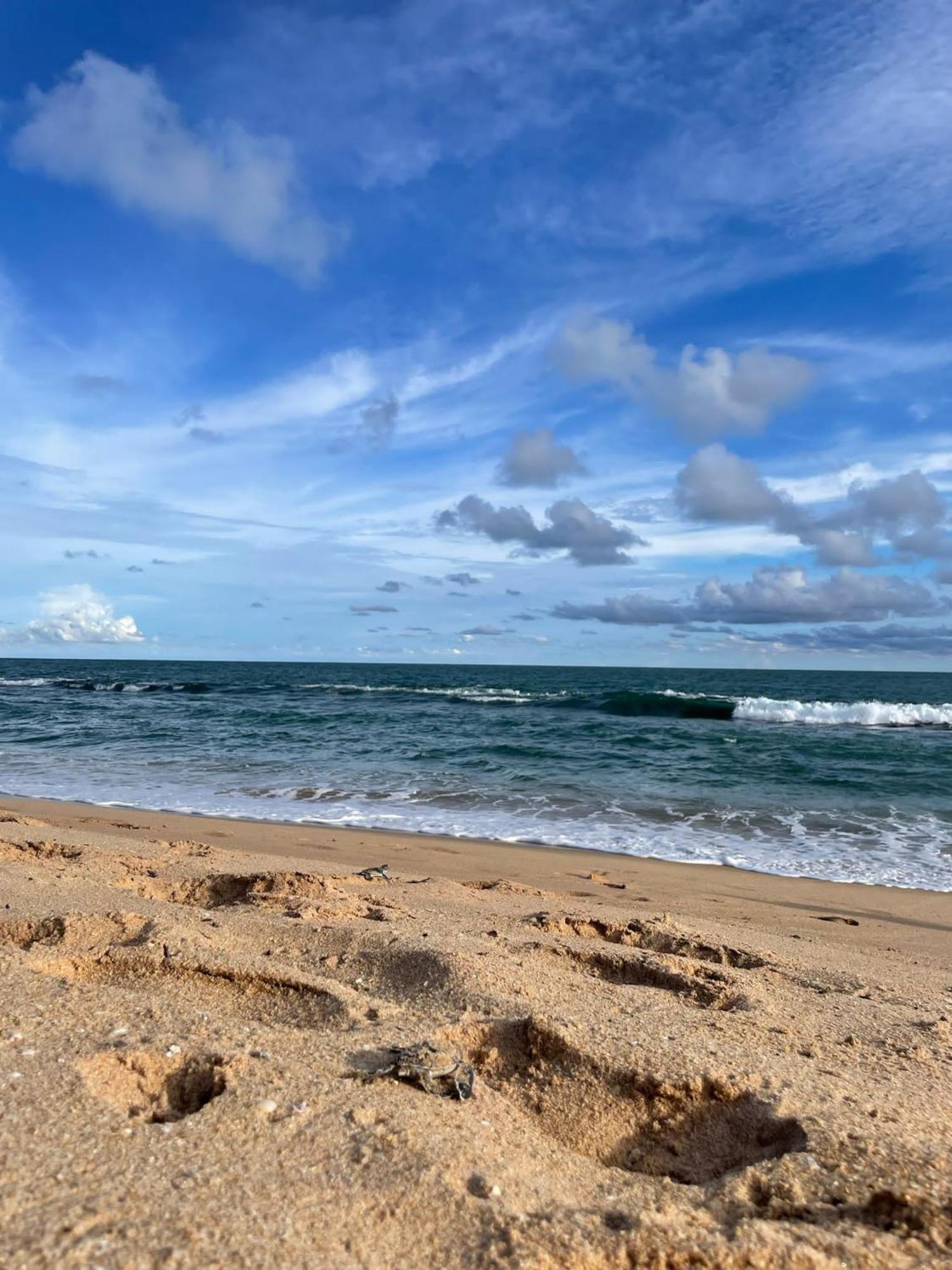 Green Turtle Tangalle Exterior photo