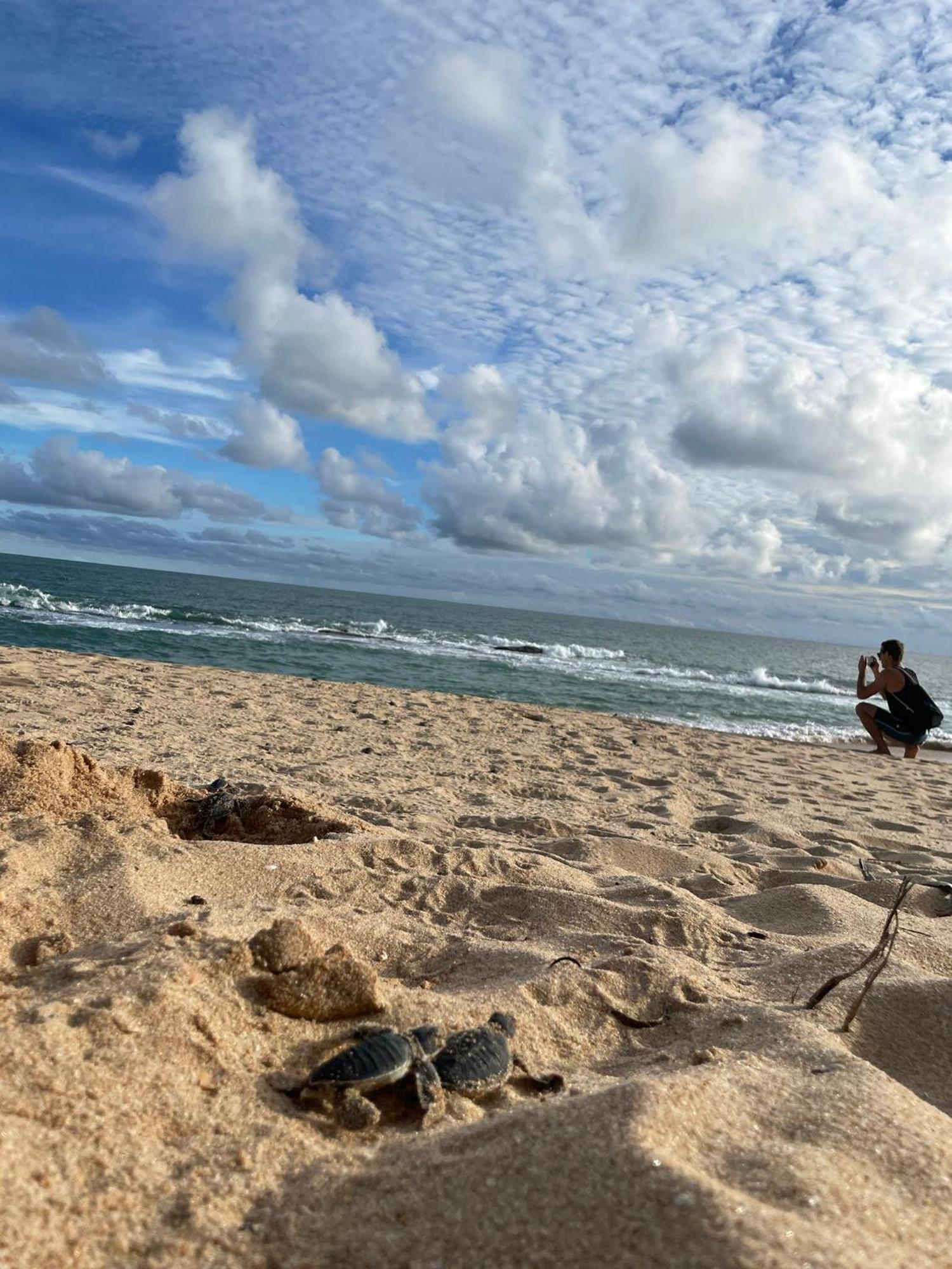 Green Turtle Tangalle Exterior photo