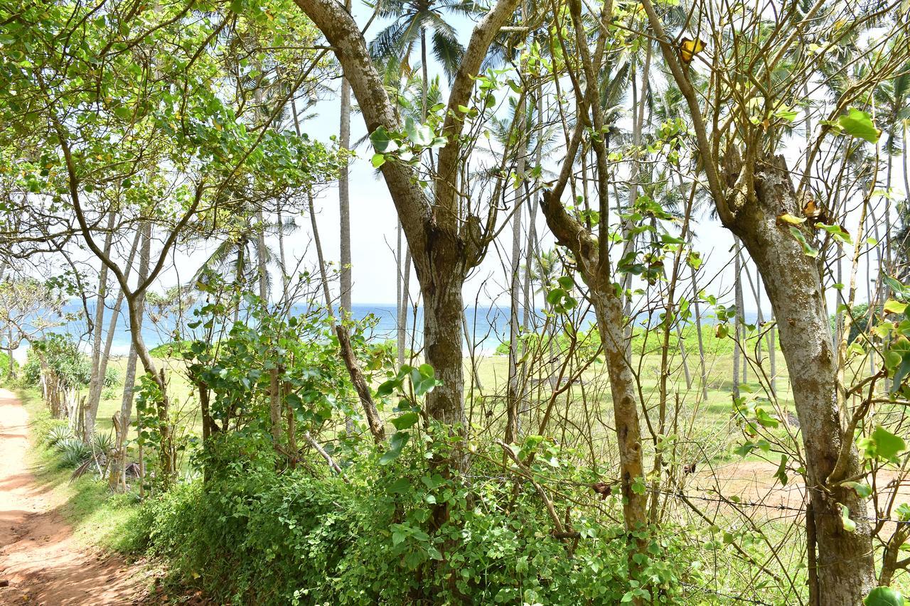 Green Turtle Tangalle Exterior photo