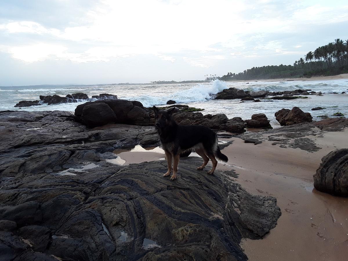 Green Turtle Tangalle Exterior photo