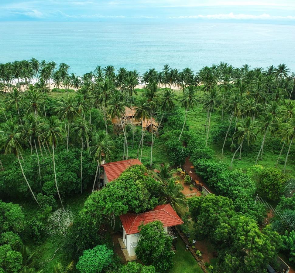 Green Turtle Tangalle Exterior photo