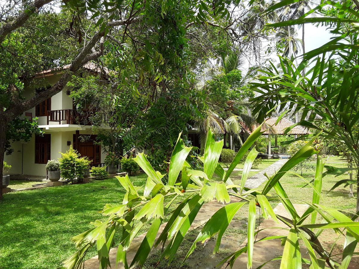 Green Turtle Tangalle Exterior photo