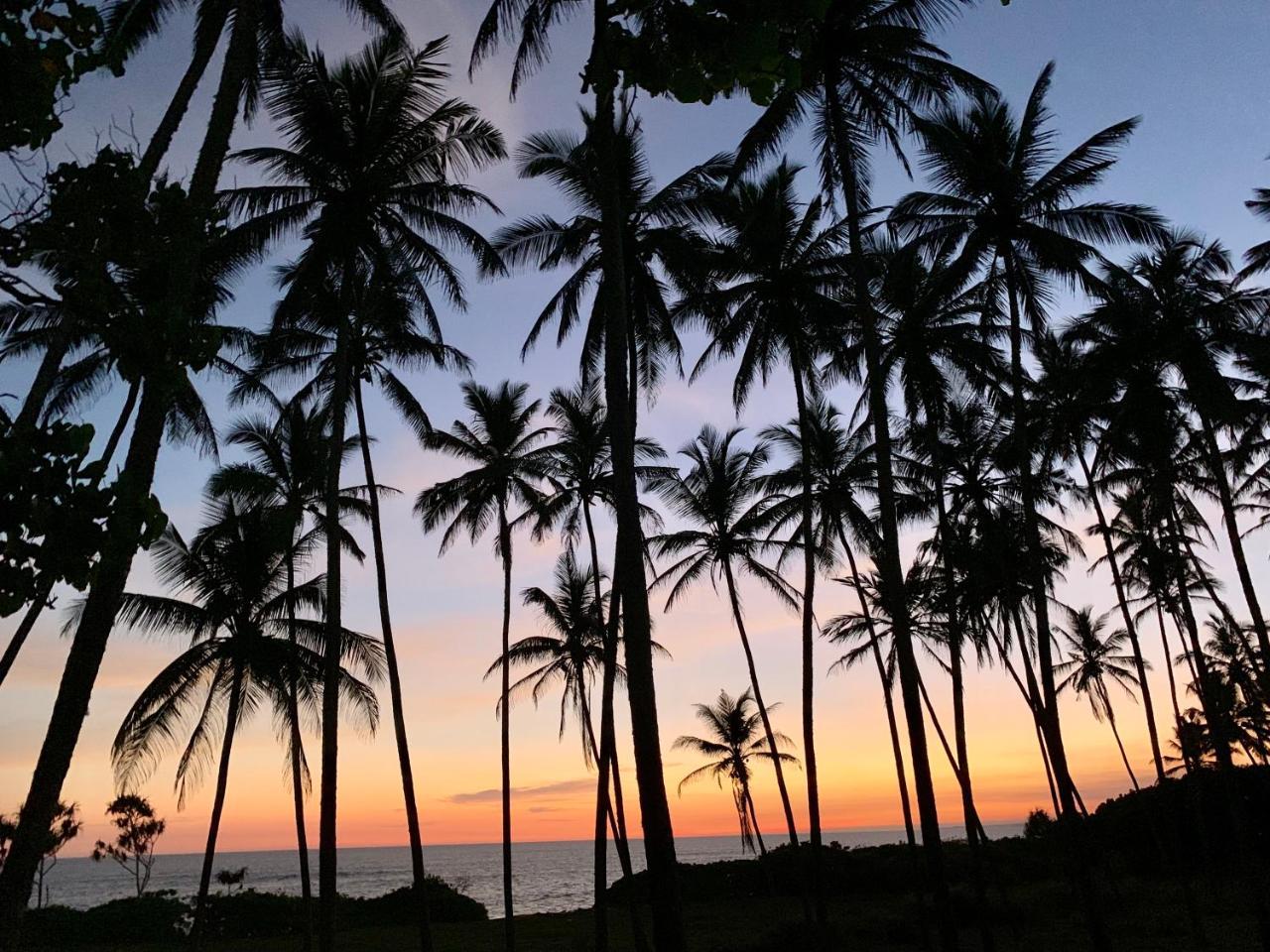 Green Turtle Tangalle Exterior photo